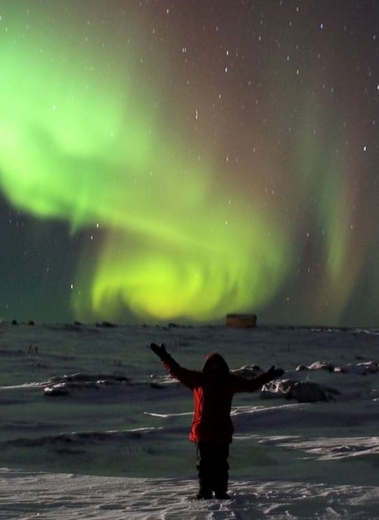 homepage_borealis-380x520