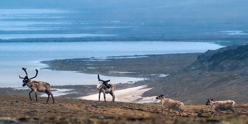 homepage-aventures-inuit_2-806x498